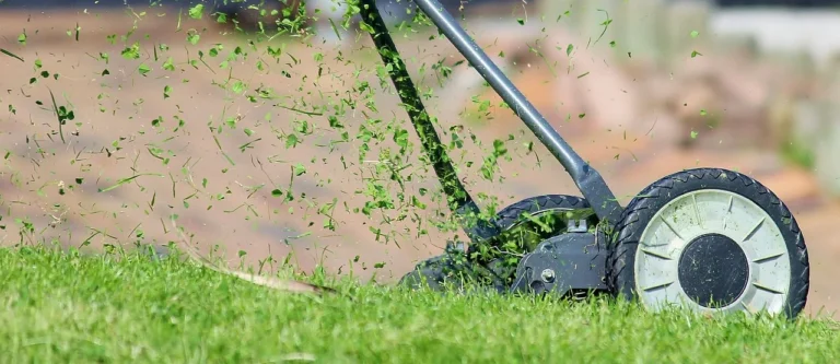 Kosiarka do trawy i wiertnica spalinowa Stihl: jak zadbać o perfekcyjny trawnik